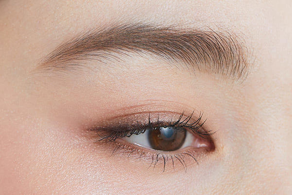 【Brows】明るめカラーのふんわり眉