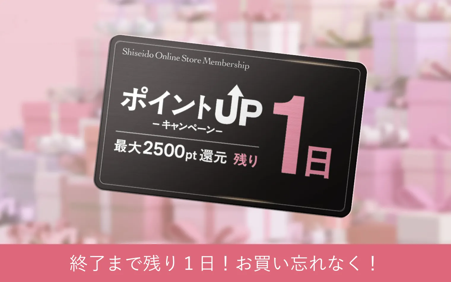 5/7まで！特別キャンペーン実施中