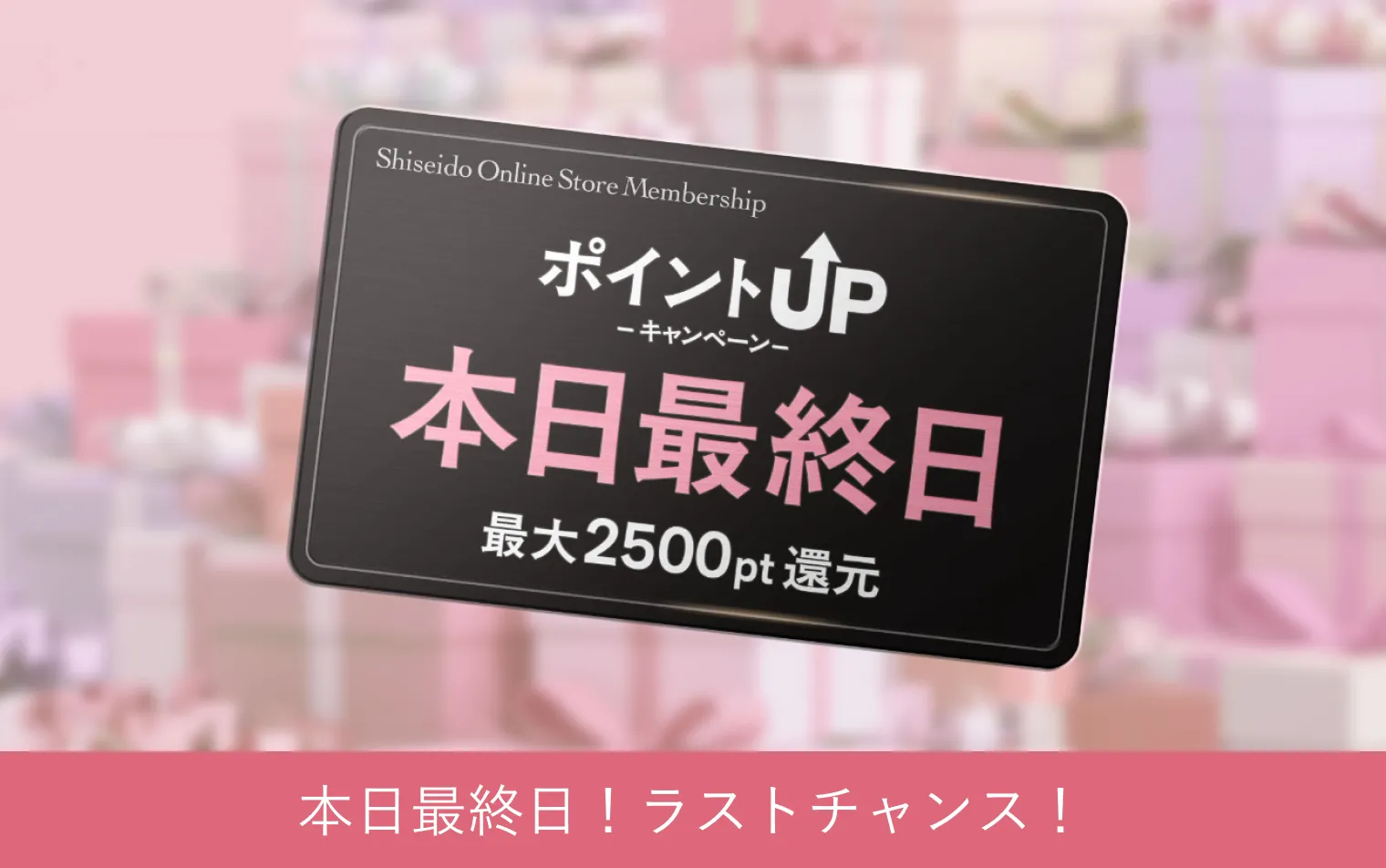 5/7まで！特別キャンペーン実施中