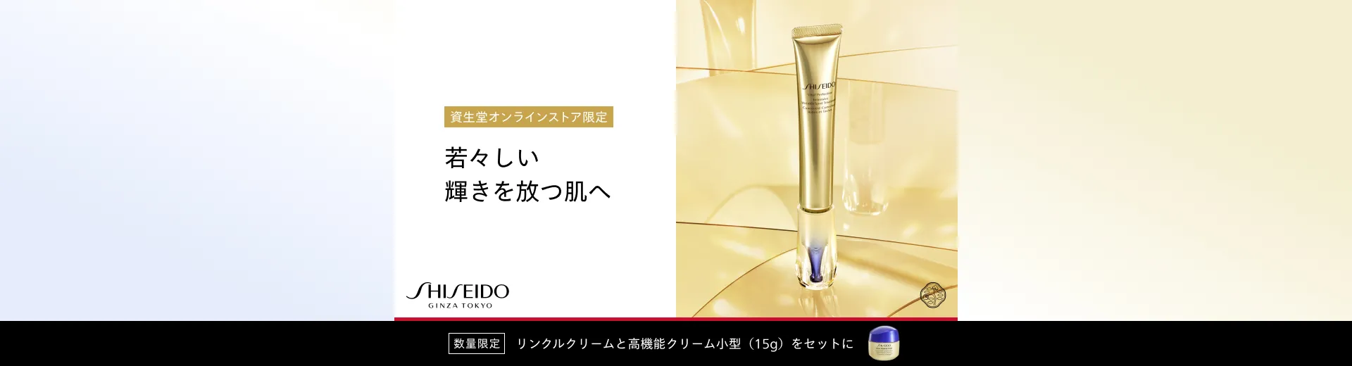 SHISEIDO バイタルパーフェクション リンクルクリームキット