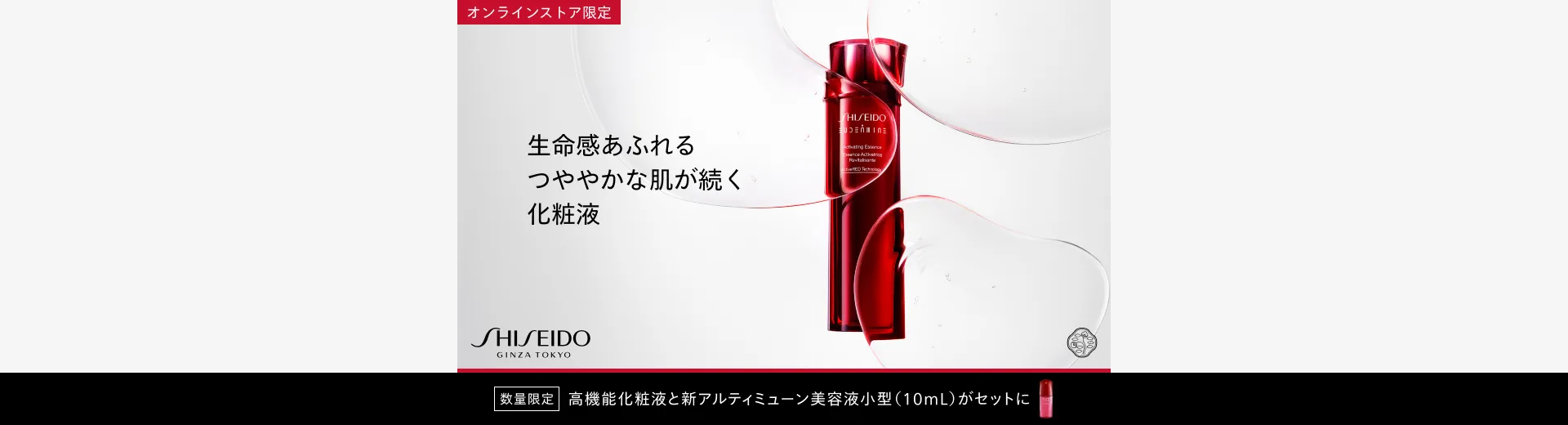 SHISEIDO オイデルミンキット