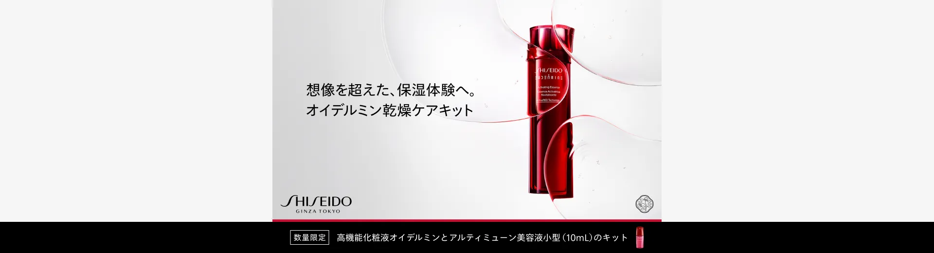 SHISEIDO オイデルミン乾燥ケアキット