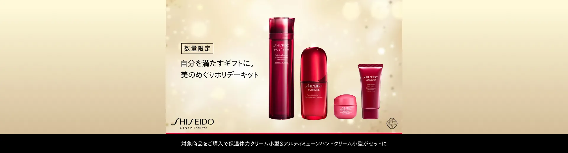 SHISEIDO 美のめぐりホリデーキット
