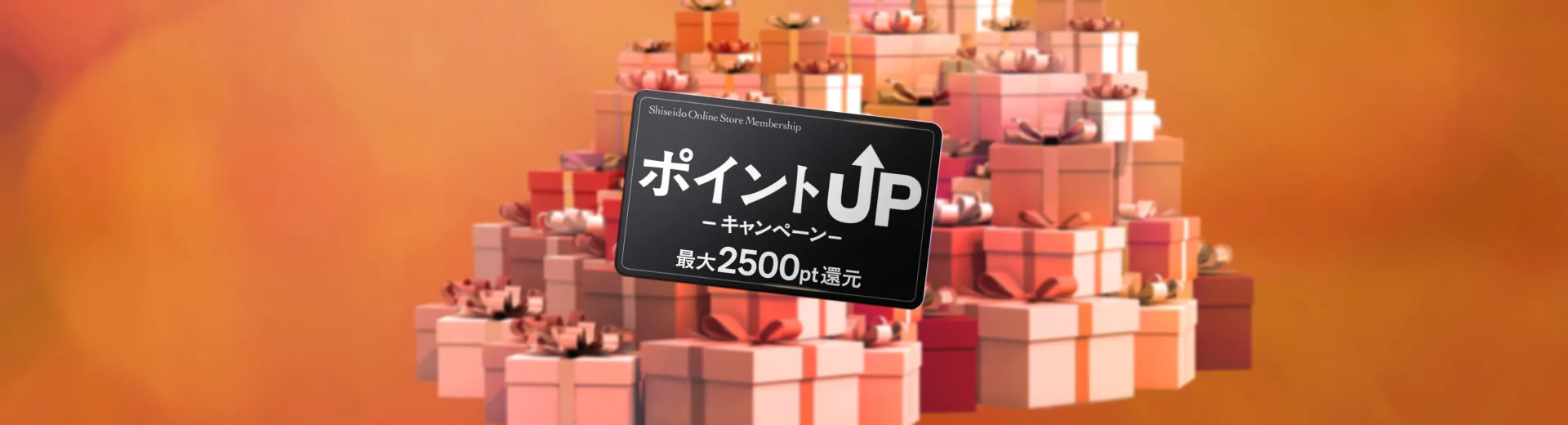 11/20まで！特別キャンペーン実施中