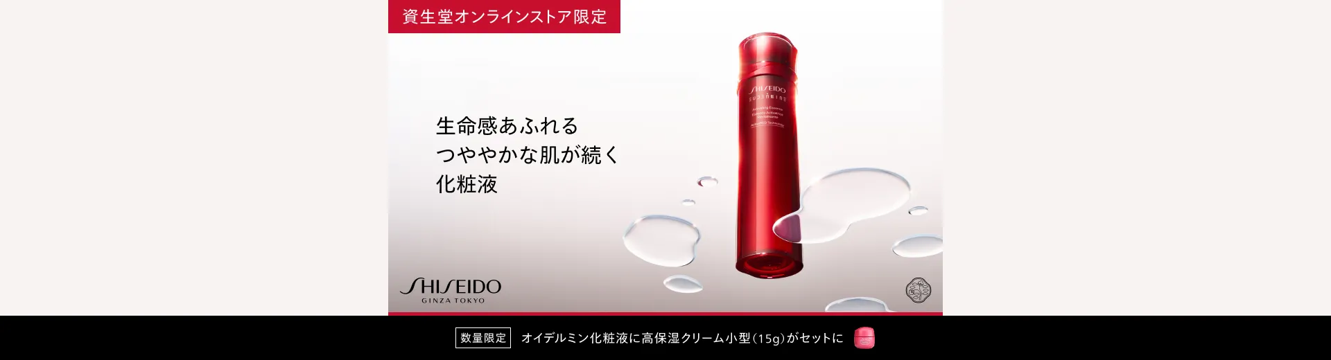 SHISEIDO オイデルミンキット