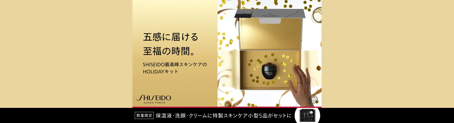 フューチャーソリューション LX HOLIDAYキット