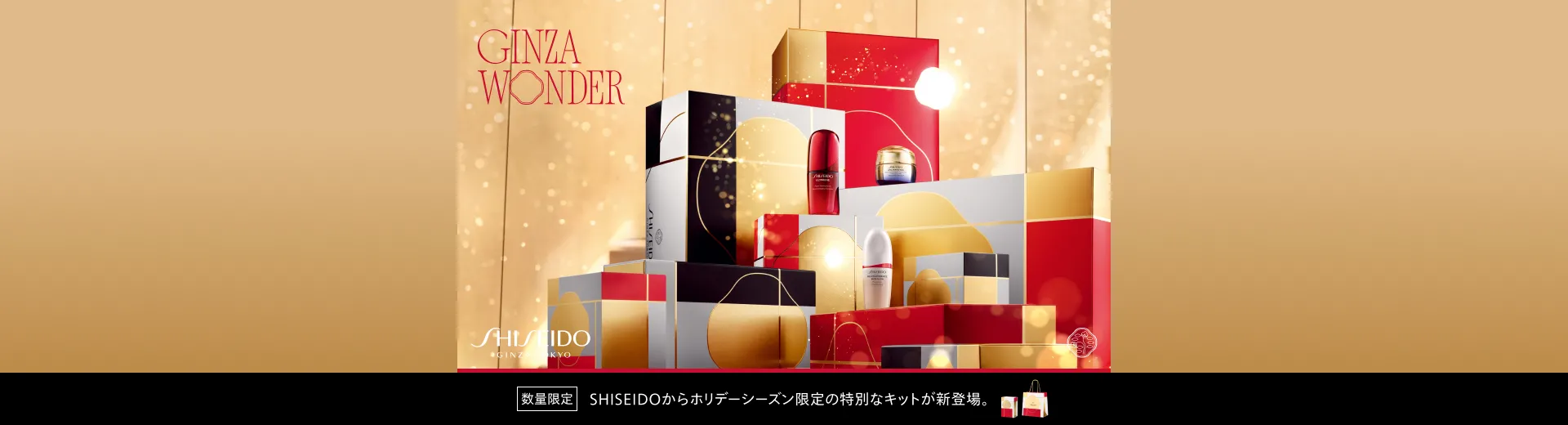 SHISEIDO ホリデー限定保湿ケアキット