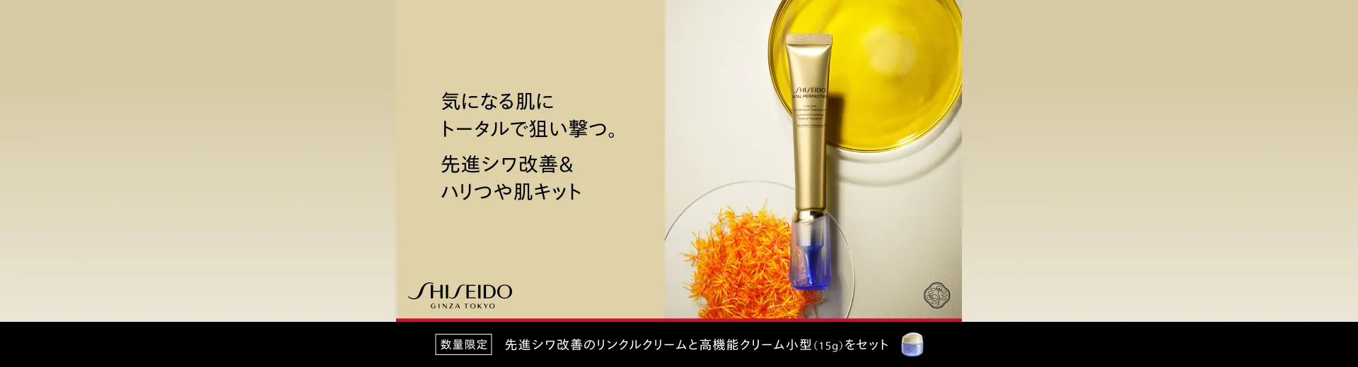 SHISEIDO バイタルパーフェクション 先進シワ改善＆ハリつや肌キット 