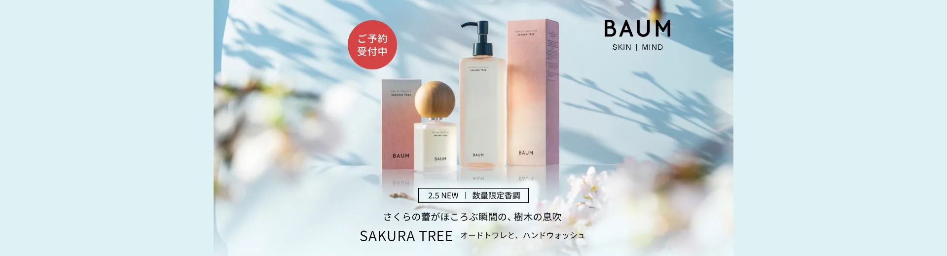 【ご予約受付中】BAUM SAKURA TREE