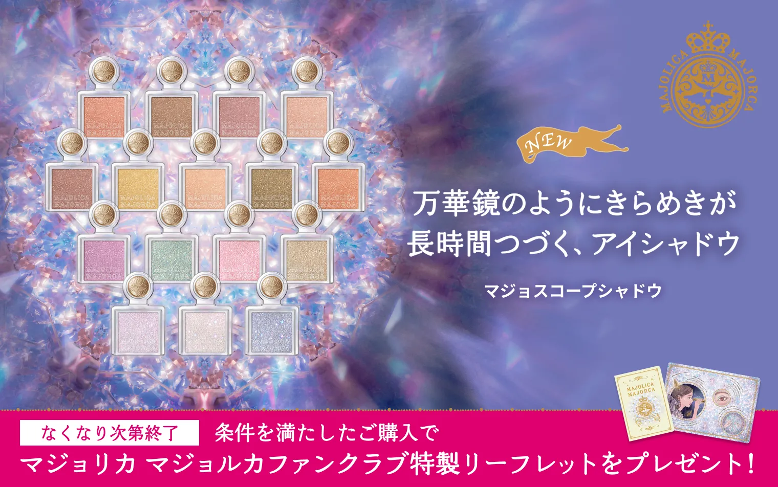 条件を満たしたご購入で特製リーフレットプレゼント