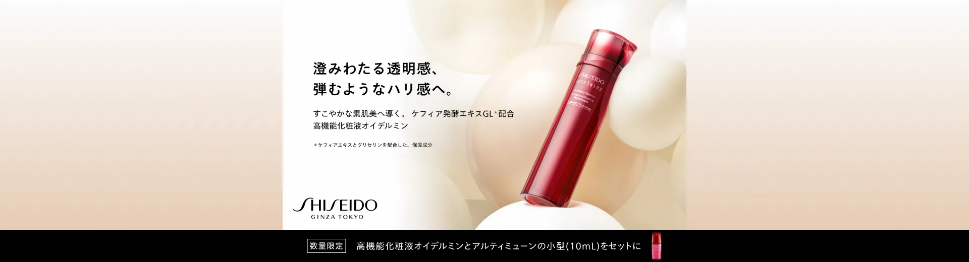 SHISEIDO オイデルミンスペシャルキット