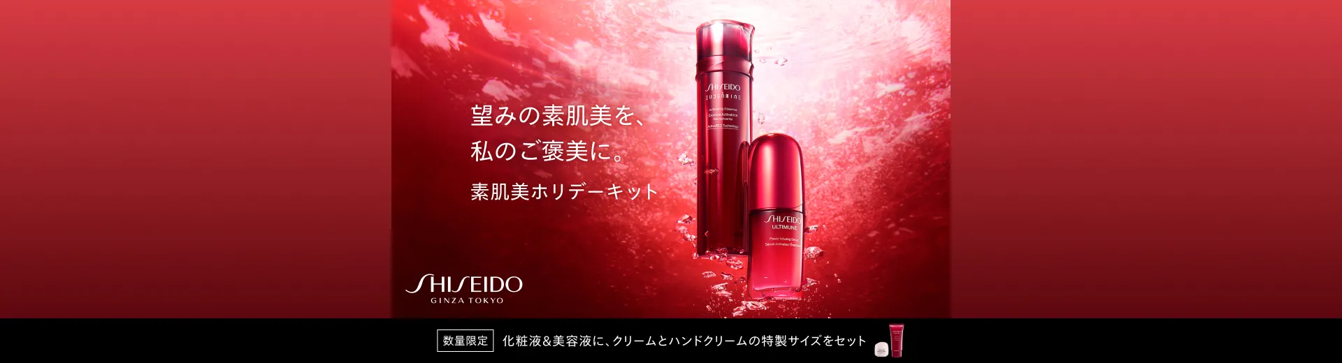 SHISEIDO 素肌美ホリデーキット