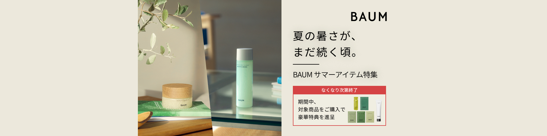 夏の光が、木々にひろがる季節へ。ＢＡＵＭ サマーアイテム特集 なくなり次第終了 期間中、対象商品をご購入で豪華特典を進呈