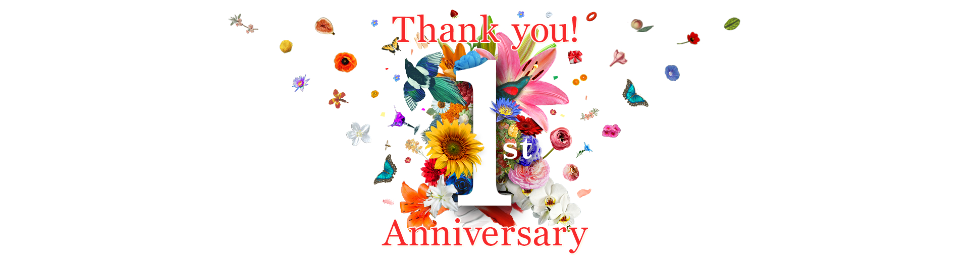 Thank you! 1st Anniversary