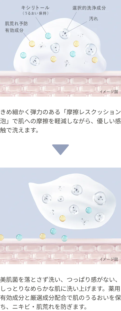 洗浄のメカニズム図解