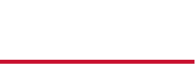 SHISEIDO