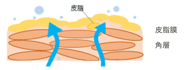 イメージ図
