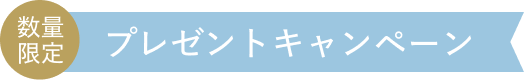 数量限定 プレゼントキャンペーン