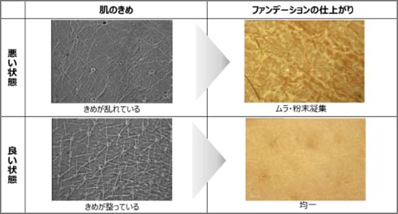 年度別の湿度と水分蒸散量の変動、肌断面図のイラスト