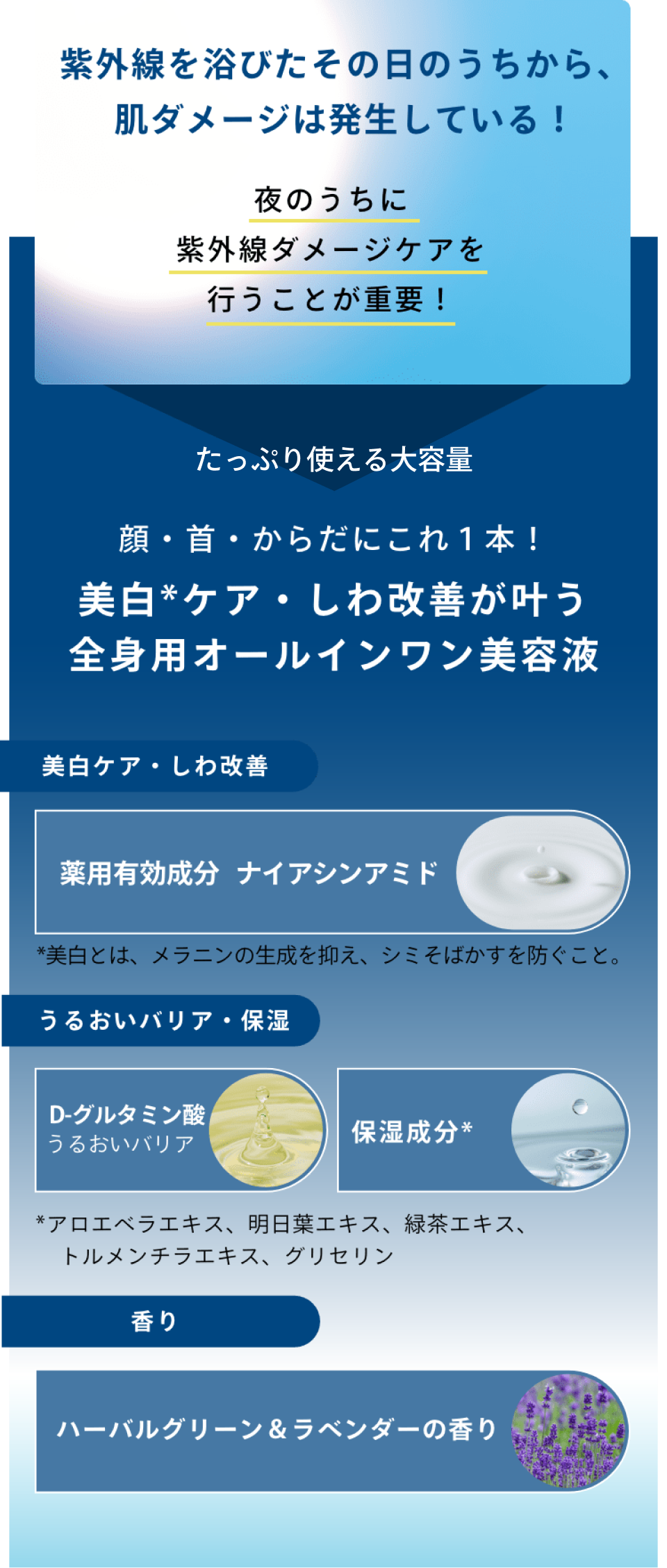 肌ダメージの説明