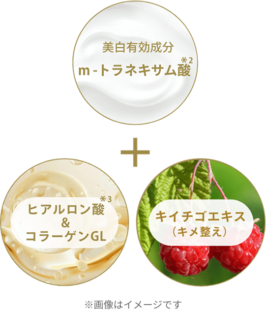 ※画像はイメージです