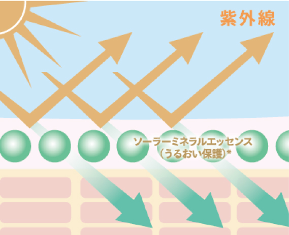 イメージ画像