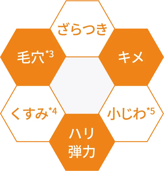 毛穴*3 / ざらつき / キメ / くすみ*4 / ハリ弾力 / 小じわ*5