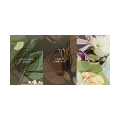 サンプルイメージ