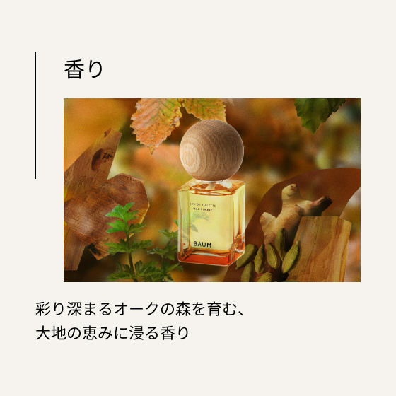 香り 彩り深まるオークの森を育む、大地の恵みに浸る香り