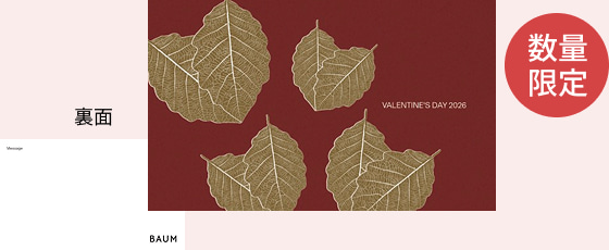 数量限定 バレンタインカード 裏面