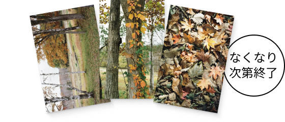 商品画像 なくなり次第終了