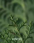 HINOKI