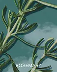 ROSEMARY