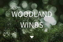 WOODLAND WINDS