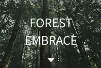 FOREST EMBRACE