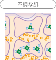 不調な肌