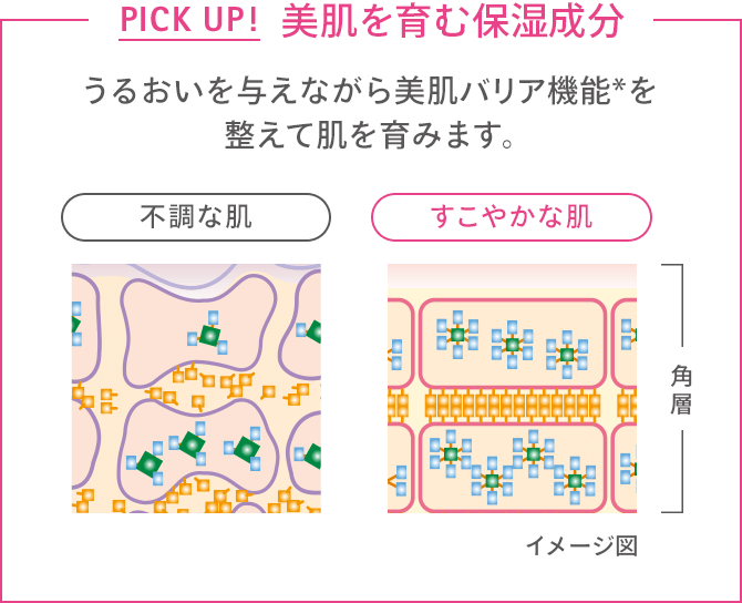 Pick Up!美肌を育む保湿成分 うるおいを与えながら美肌バリア機能*を整えて肌を育みます。不調な肌 すこやかな肌