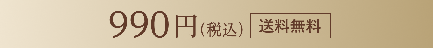 990円（税込） 送料無料