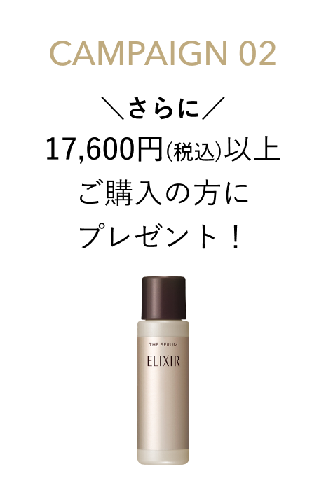 CAMPAIGN 02 さらに 17,600円(税込)以上ご購入の方にプレゼント!