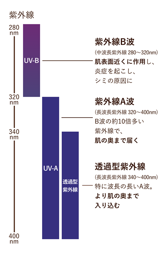 紫外線の種類の説明