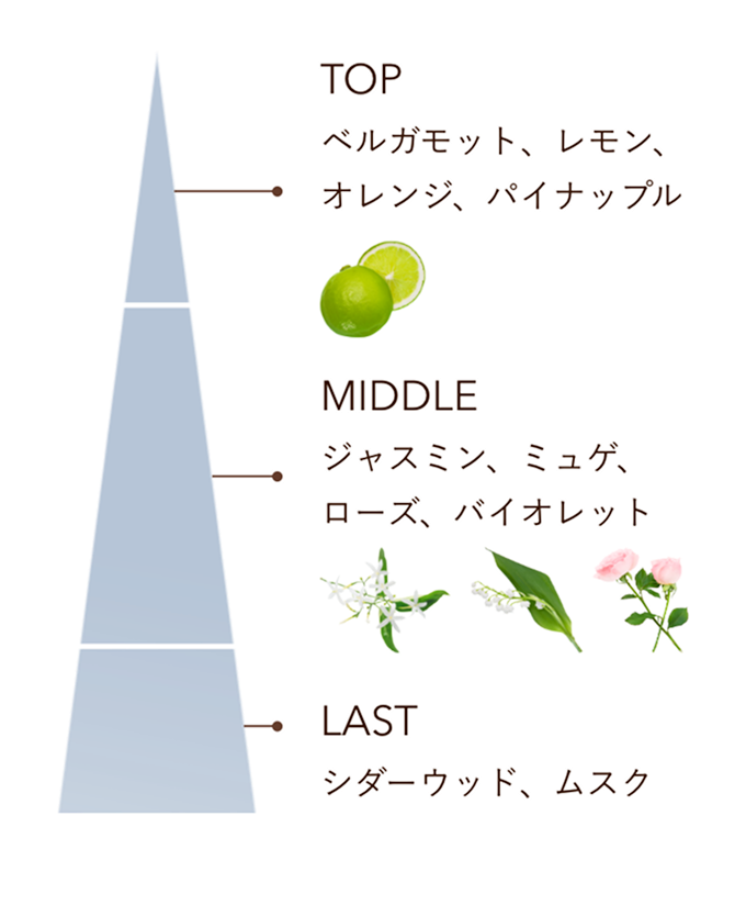 香りのイメージ図