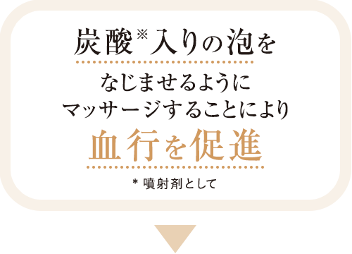 炭酸※入りの泡をなじませるようにマッサージすることにより血行を促進*噴射剤として