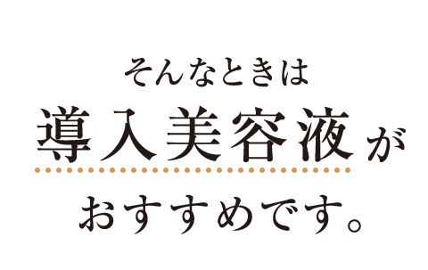 そんなときは導入美容液がおすすめです。