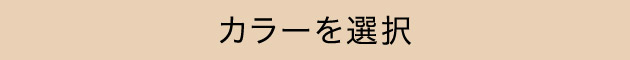 カラーを選択
