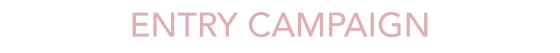 ENTRY CAMPAIGN