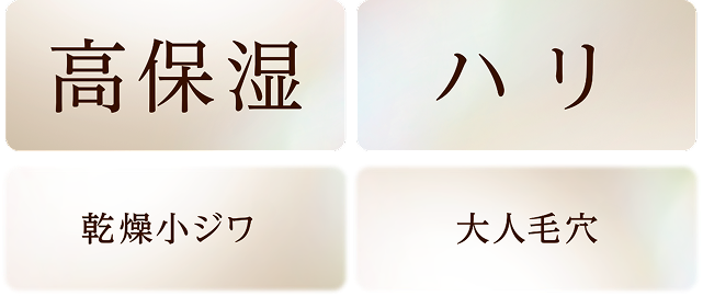 高保湿 ハリ 乾燥小ジワ 大人毛穴