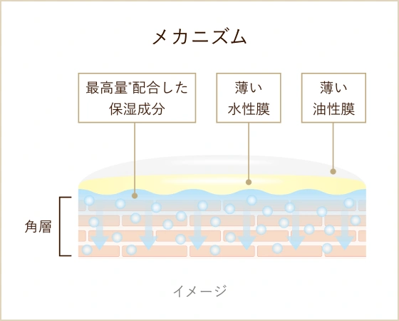 イメージ画像
