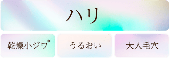 ハリ・乾燥小ジワ*・うるおい・大人毛穴