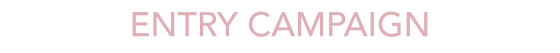 ENTRY CAMPAIGN