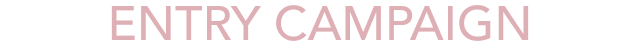ENTRY CAMPAIGN